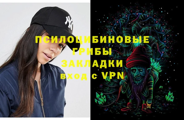 apvp Лабытнанги
