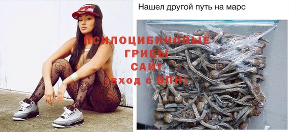 бошки Ладушкин