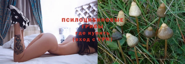 apvp Лабытнанги
