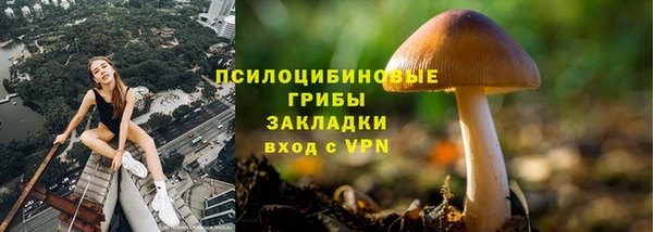 бошки Ладушкин
