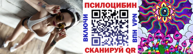 Купить  Звенигово  Псилоцибиновые грибы Psilocybine cubensis 